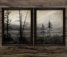 two black and white pictures with trees in the background on a wooden wall above a wood paneled floor