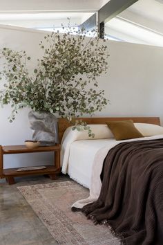 a bedroom with a bed and a plant in the corner