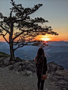 a woman standing on top of a mountain next to a tree at sunset with mountains in the background