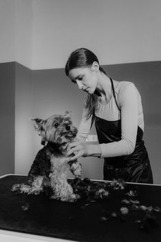 a woman grooming a small dog on top of a black table in a room