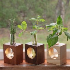 three wooden vases with plants in them on a window sill