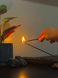 We invite you to enhance any zen space with our hand dipped and slow burning incense sticks. They are hand made out of all natural charcoal creating a cleaner and longer lasting burn.  Each package comes with 20 sticks - each burning for about an hour long 11" long stick with 8" of charcoal   - CLASSIC COLLECTION -  Palo Santo  - a grounding aroma of an unlit stick of palo santo combined with sandalwood  Nag Champa  - a beloved and most popular incense scent. fragrant resins, gums, sandalwood, a Insence Stick Aesthetic, Lighting Incense, Scent Sticks, Indian Incense, Zen Space, Nag Champa, Burning Incense, Dragons Blood, Mini Session