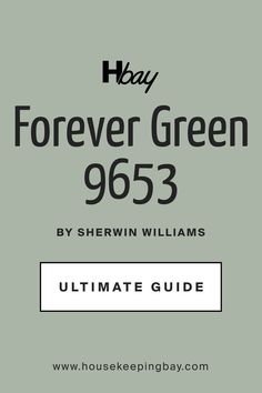 Ultimate Guide. Forever Green SW 9653    Paint Color by Sherwin-Williams Cascade Green, Sherwin Williams Green, Green Kitchen Island, Light Sea Green, Shed Colours, Green Paint Colors, Sherwin Williams Paint Colors, Shed Light