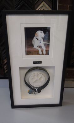 a dog's paw is shown in a shadow box