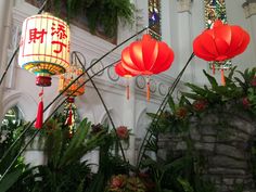 red paper lanterns hanging from the ceiling in front of a building with plants and rocks