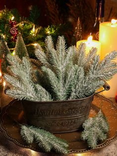 a potted plant sitting on top of a table next to candles and christmas decorations