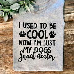 i used to be cool now i'm just my dogs snacker shirt