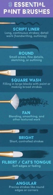 the different types of brushes are shown in this graphic diagram, which shows how to use them