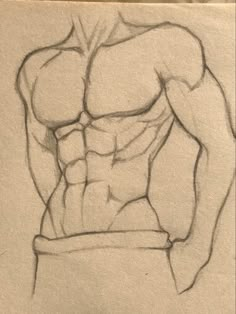 a pencil drawing of a man's torso