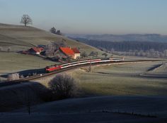 a train is traveling down the tracks in an open field with houses and trees on either side