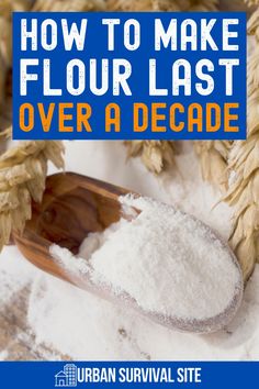 While flour typically has a shelf life of about 6 months, but it can last over a decade if you store it properly. In this article, we explain how to get the longest possible shelf life from your flour. How To Store Flour, Make Flour, How To Make Flour, Homemade Pantry, Urban Survival, Emergency Preparedness, A Shelf, Shelf Life, 6 Months