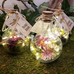 two glass vases filled with flowers and lights