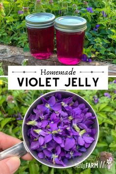 homemade violet jelly recipe in a jar with purple flowers on the side and text overlay that reads homemade violet jelly