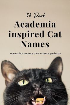 a black cat with its mouth open and the caption reads, 5 pack academy inspired cat names