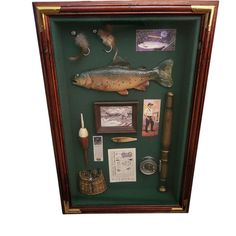 a fish and other items are displayed in a shadow box