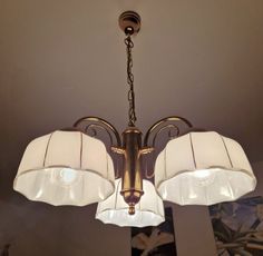 a chandelier hanging from the ceiling with two shades on it's lampshades