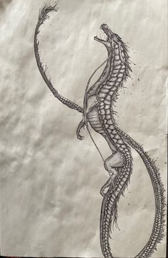 European lung sketch Pen Sketch, Mythical Creatures, Scales, Sketch, Pen, Quick Saves