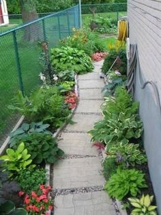 a garden with lots of flowers and plants growing on it's side walk way