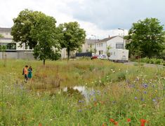 two people standing in the middle of a field with wildflowers and other flowers