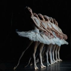 a row of ballet dancers in white tutus