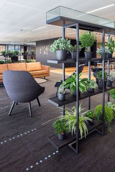 an office filled with lots of plants and furniture