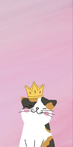 a cat with a crown on it's head is sitting in front of a pink background