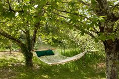 a hammock hanging between two trees in the grass