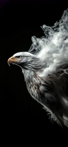 Flying Eagle Photography, Iphone Wallpaper Travel, Flag Pictures, White Black Background, King Wallpaper, Iphone Wallpaper Clock, Eagle Artwork, Wallpaper Travel