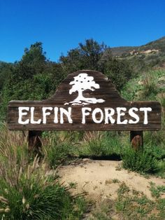 a wooden sign that says elffinn forest in front of some bushes and trees