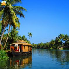 a small house boat on a river surrounded by palm trees