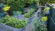 a garden filled with lots of different types of plants