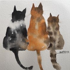 an image of three cats sitting on top of each other with the caption place 3, 393 personae awishaa art bird watching