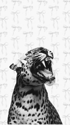 a black and white photo of a leopard with its mouth open