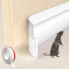 a mouse looking at a wall with a tape on the floor next to it and a white radiator