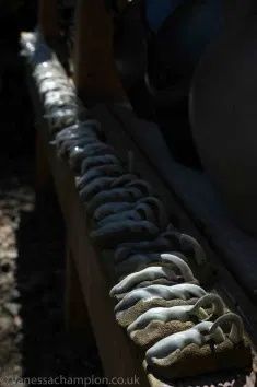 a long row of cement pots sitting on top of a wooden bench in the sun