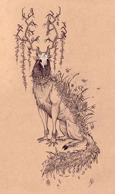 a drawing of a fox sitting in the grass