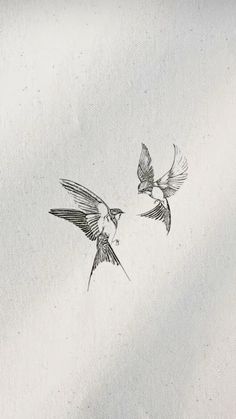 two birds flying in the sky with one bird on its back and another bird on it's side