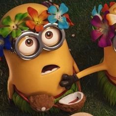 two minion dolls with flowers on their heads and one holding a coconut in the grass