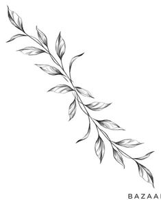 a black and white drawing of a branch with leaves on the top, in front of a