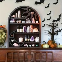 a shelf filled with lots of different items on top of a wooden mantle covered in bats