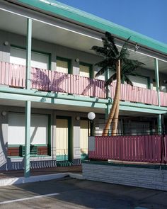 a palm tree is in front of a multi - story building with balconies