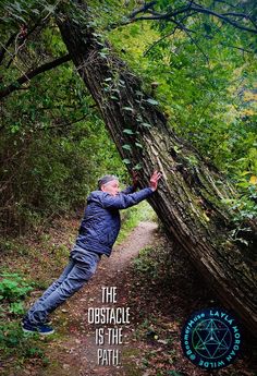 Man holding up tree in woods Walk In The Woods, Have A Beautiful Day, Original Photo, Photo Quotes, Original Image, Photo Inspiration, Zen