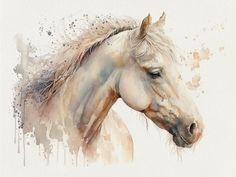 a painting of a white horse with brown spots on it's face and head