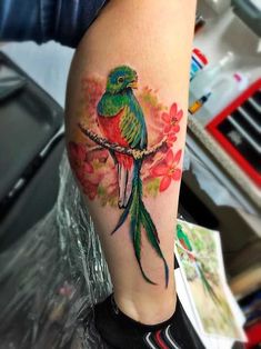 a colorful bird sitting on a branch with flowers around it's neck and arm