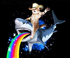 a cat riding on top of a shark with a rainbow under its tail and wearing a cowboy hat