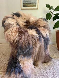 a large furry animal sitting on top of a rug next to a potted plant