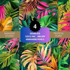 tropical leaves and plants for photoshopped in 4 different styles, each with the same color