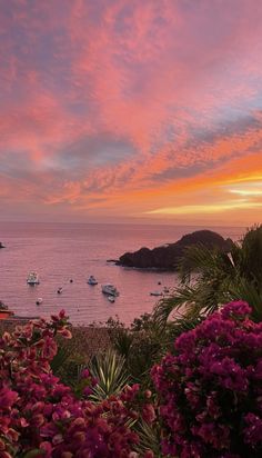 the sun is setting over an ocean with boats in the water and flowers growing on the shore