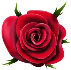 Propose Flower, Green Screen Effects Videos Design, Red Rose Png, Transparent Wallpaper, Rose Png, Rosé Png, Valentines Roses, Clear Images, Image Stickers