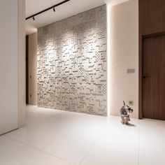 a cat is sitting on the floor in front of a wall with geometric designs and lights